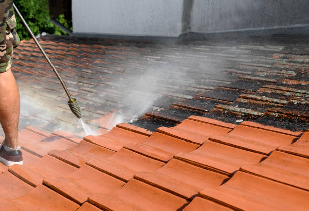 Best Roof Pressure Washing  in Camden, TN