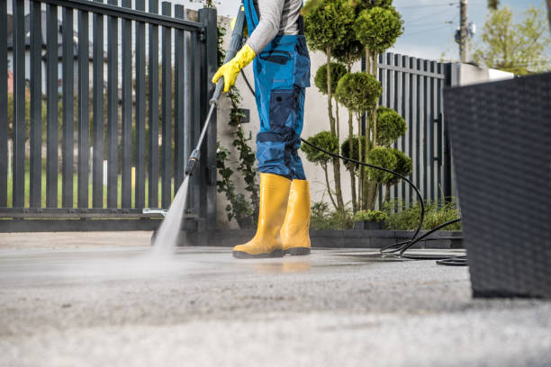 Best Commercial Building Pressure Washing  in Camden, TN