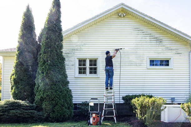 Best Commercial Building Pressure Washing  in Camden, TN