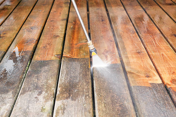 Best Local Pressure Washing Services  in Camden, TN